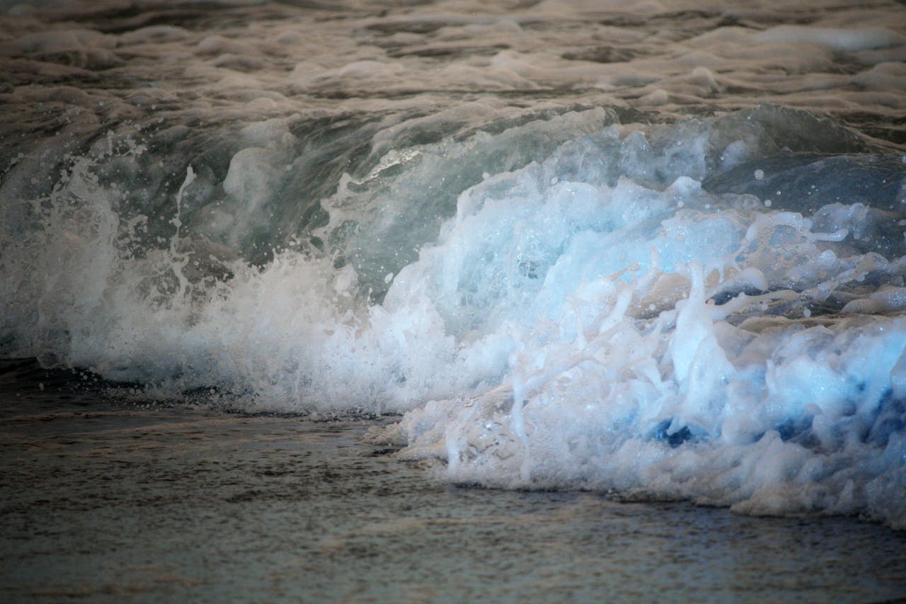 Best Lashes in California — 2026 Guide