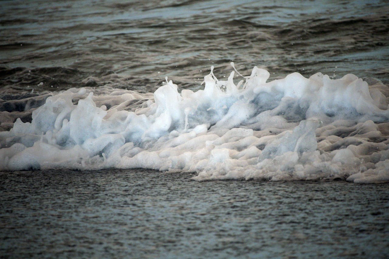 Best Lashes in College Park, MD — 2026 Guide