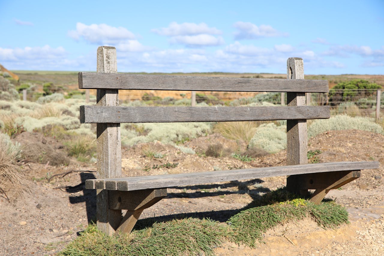 Best Lashes in Illinois — 2026 Guide