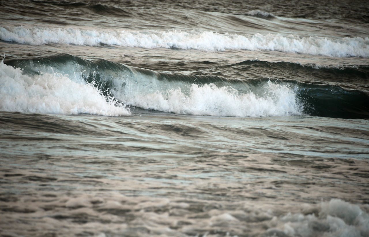 Top 2 Lashes & Brows Spots in Chicago, IL You Need to Visit