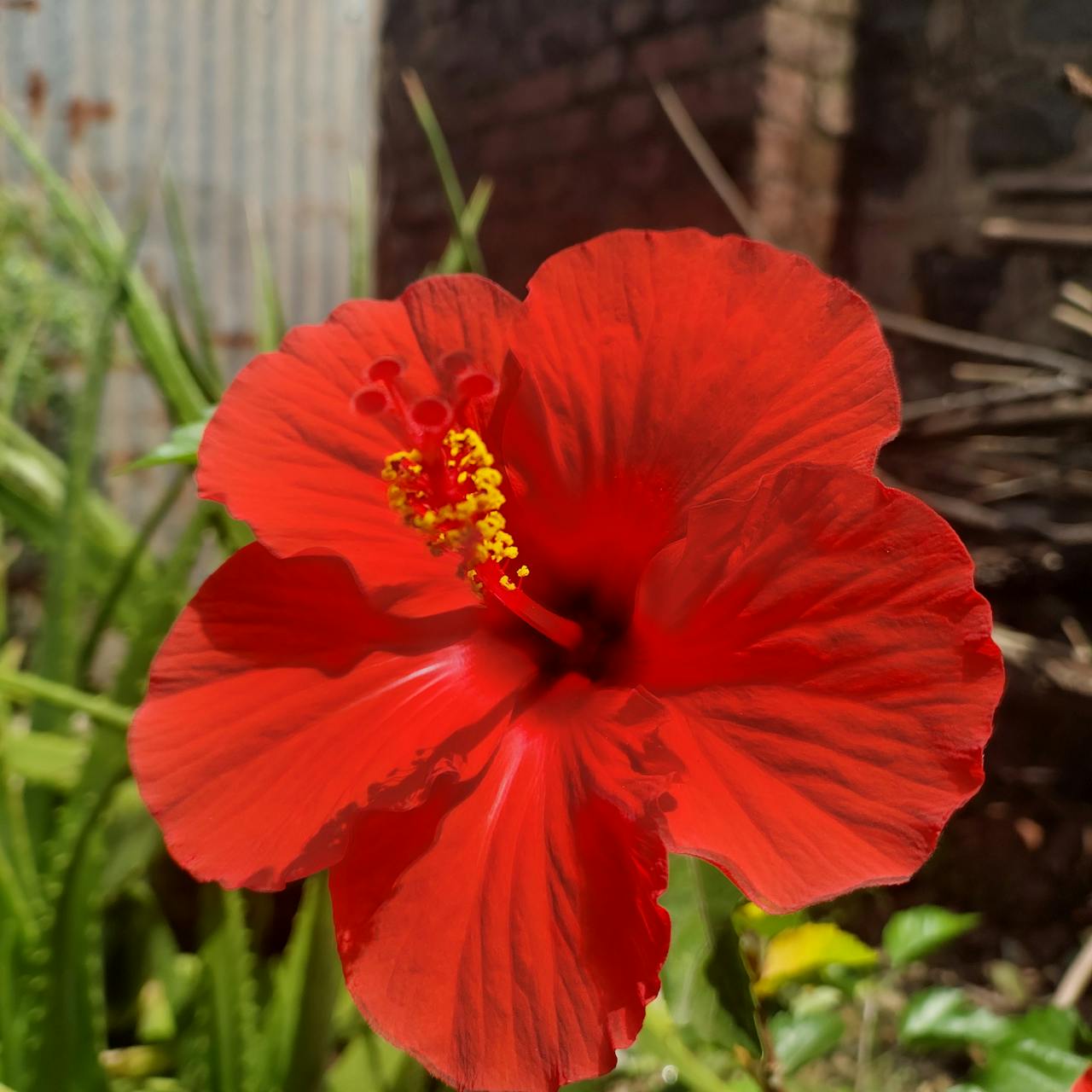 Top 2 Lashes & Brows Spots in Mesa, AZ You Need to Visit