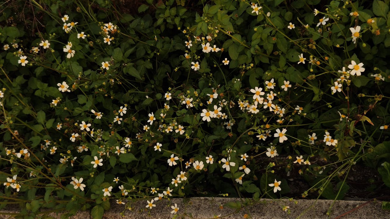 Top 4 Lashes & Brows Spots in Texas You Need to Visit