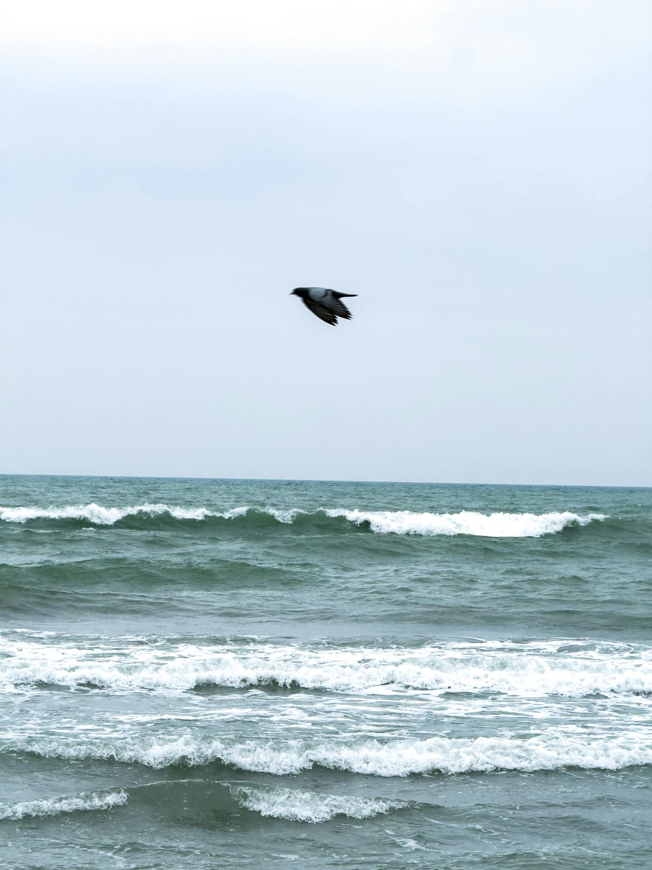 Top 5 Lashes & Brows Spots in Illinois You Need to Visit