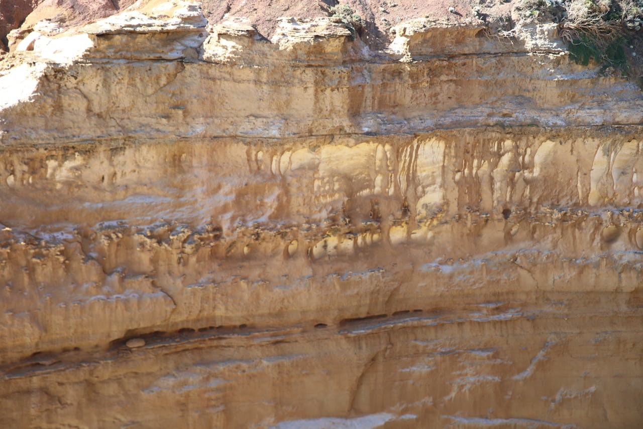 Top 8 Lashes & Brows Spots in New York You Need to Visit