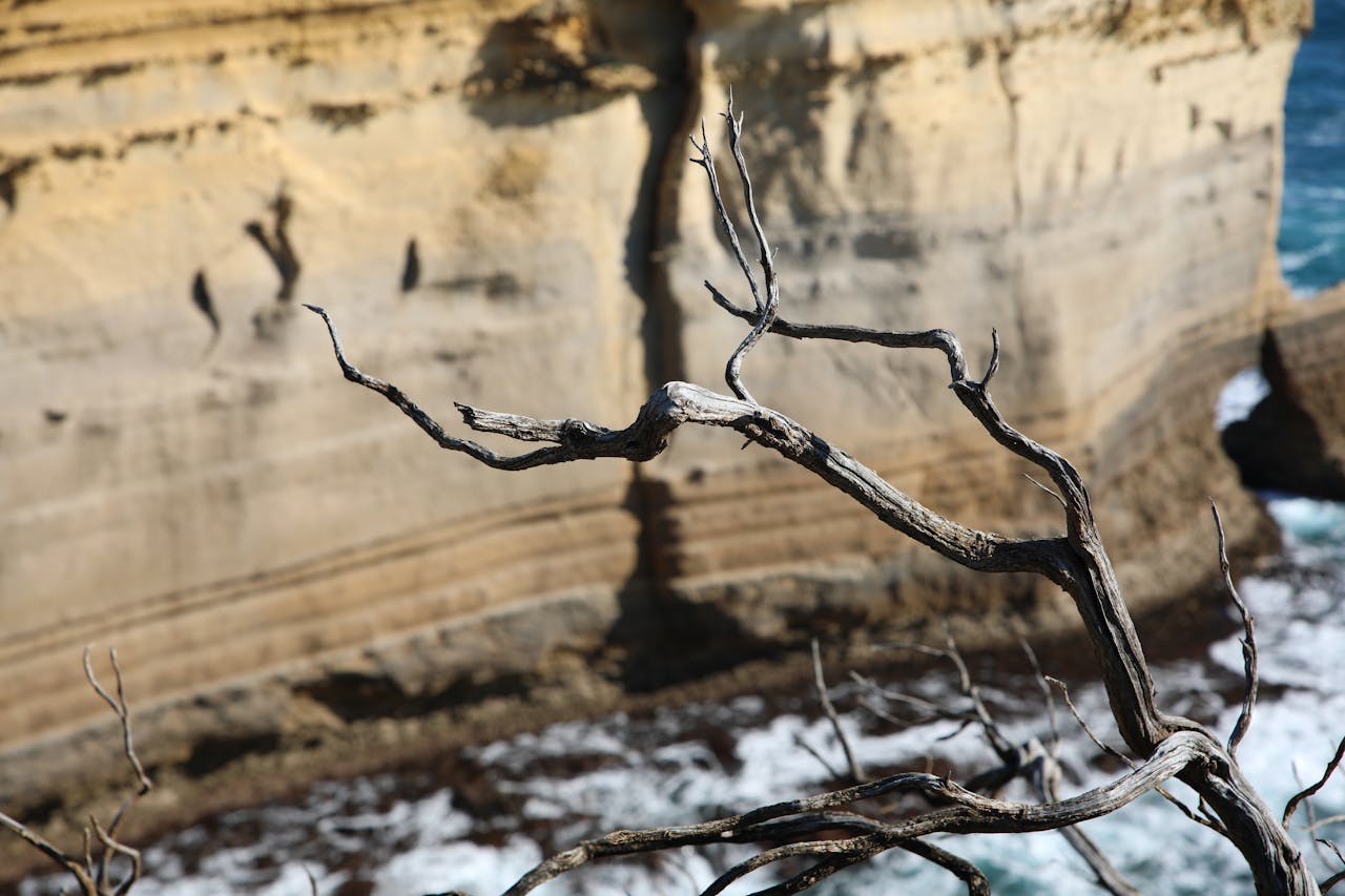 Top 8 Lashes & Brows Spots in New York You Need to Visit